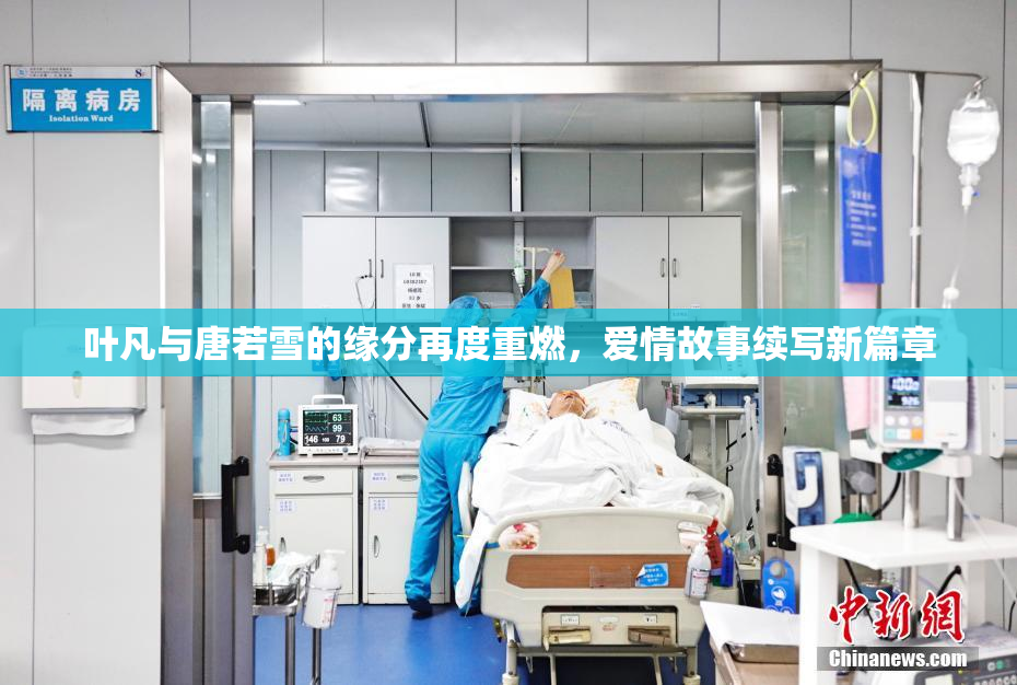 叶凡与唐若雪的缘分再度重燃，爱情故事续写新篇章