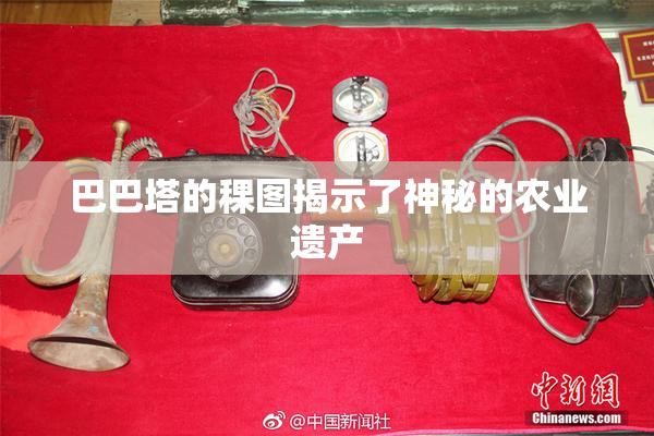 巴巴塔的稞图揭示了神秘的农业遗产