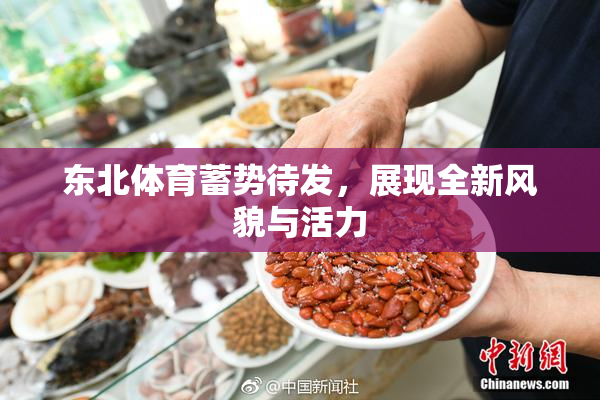 东北体育蓄势待发，展现全新风貌与活力