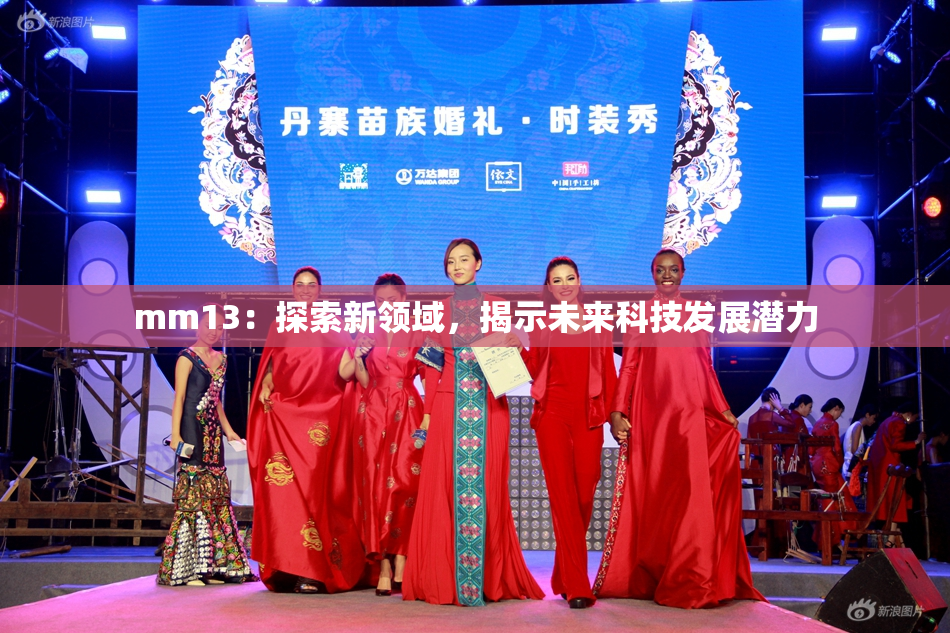 mm13：探索新领域，揭示未来科技发展潜力