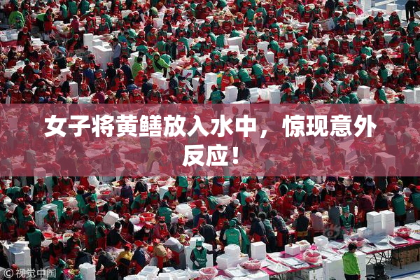 女子将黄鳝放入水中，惊现意外反应！