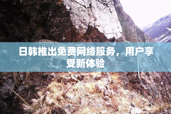 日韩推出免费网络服务，用户享受新体验