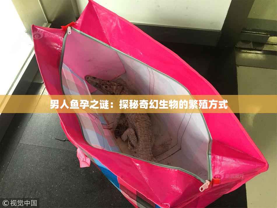 男人鱼孕之谜：探秘奇幻生物的繁殖方式