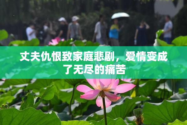 丈夫仇恨致家庭悲剧，爱情变成了无尽的痛苦