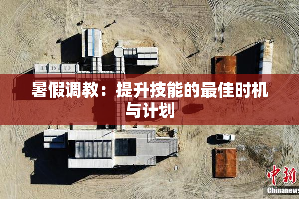 暑假调教：提升技能的最佳时机与计划