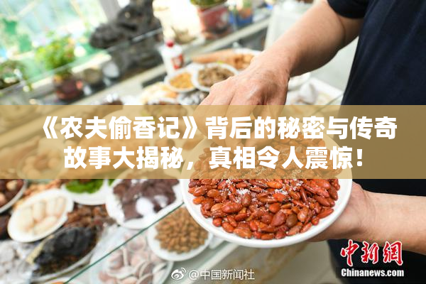 《农夫偷香记》背后的秘密与传奇故事大揭秘，真相令人震惊！