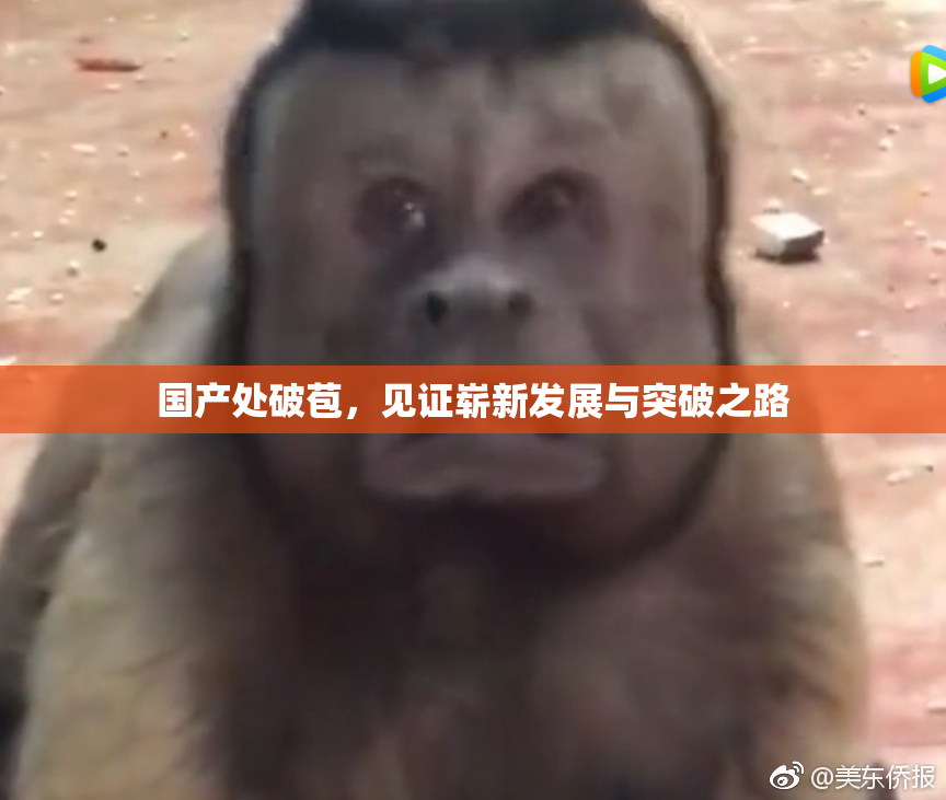 国产处破苞，见证崭新发展与突破之路