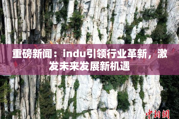 重磅新闻：indu引领行业革新，激发未来发展新机遇