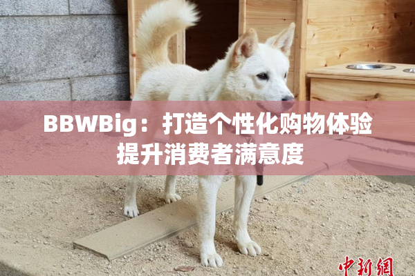 BBWBig：打造个性化购物体验 提升消费者满意度