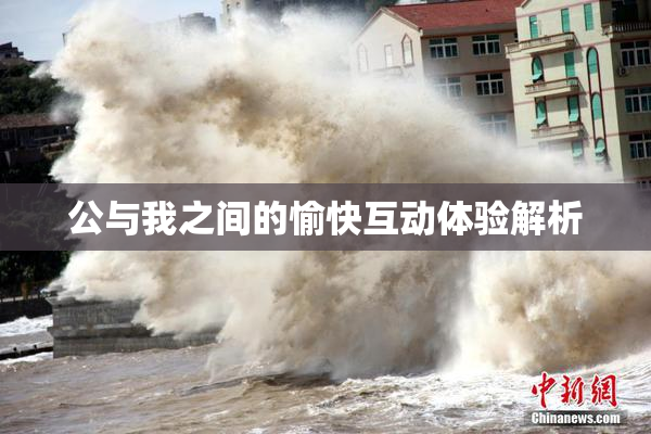 公与我之间的愉快互动体验解析