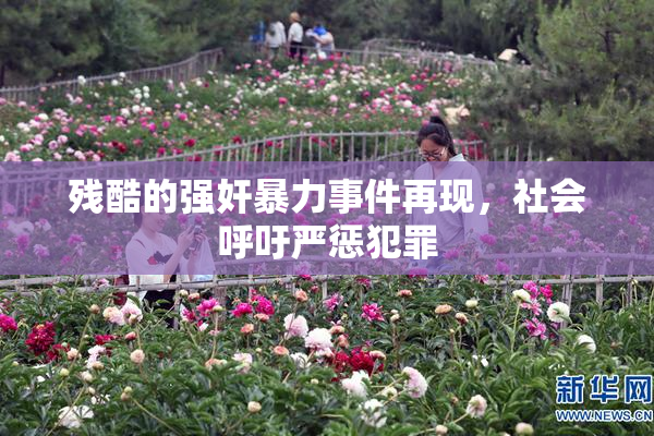 残酷的强奸暴力事件再现，社会呼吁严惩犯罪