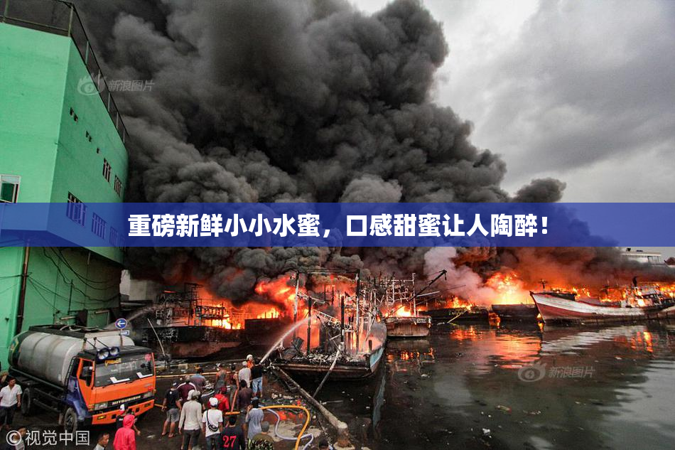 重磅新鲜小小水蜜，口感甜蜜让人陶醉！