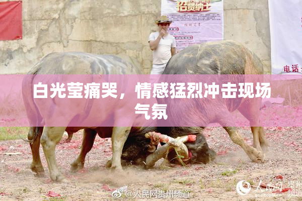 白光莹痛哭，情感猛烈冲击现场气氛