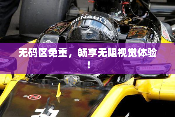 无码区免重，畅享无阻视觉体验！