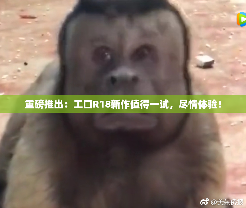 重磅推出：工口R18新作值得一试，尽情体验！