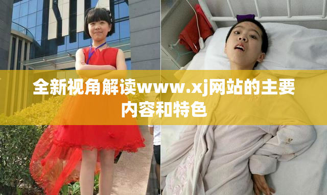 全新视角解读www.xj网站的主要内容和特色