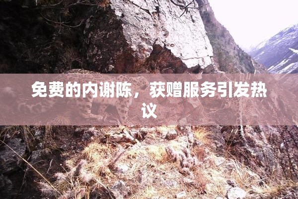 免费的内谢陈，获赠服务引发热议