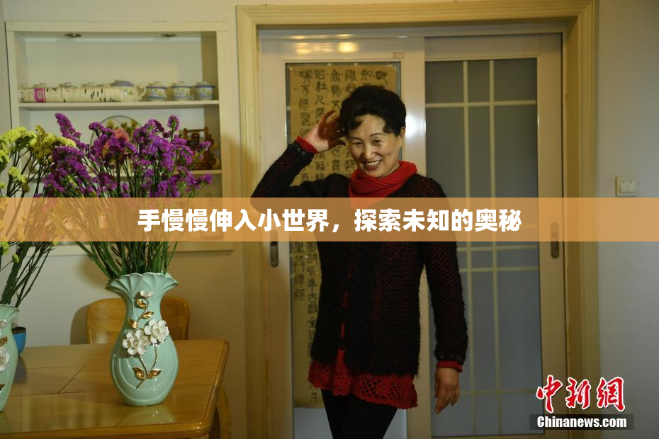 手慢慢伸入小世界，探索未知的奥秘