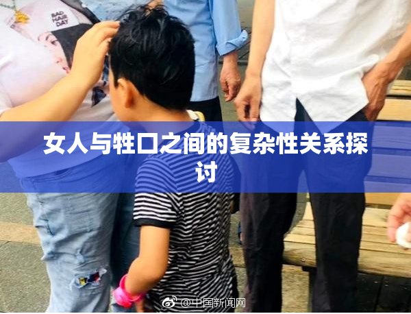 女人与牲囗之间的复杂性关系探讨