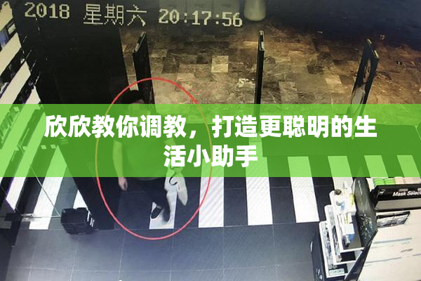 欣欣教你调教，打造更聪明的生活小助手