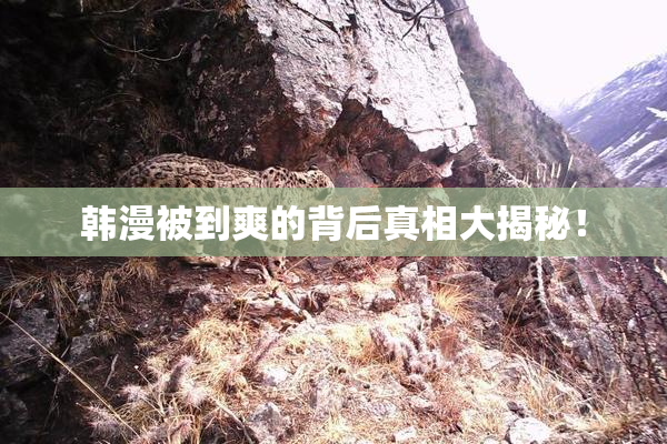 韩漫被到爽的背后真相大揭秘！