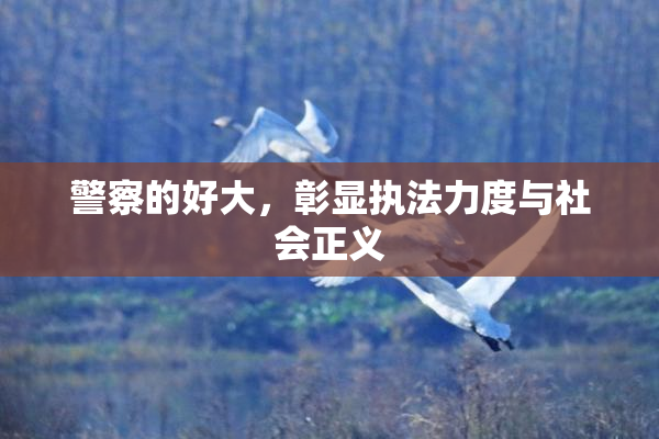 警察的好大，彰显执法力度与社会正义