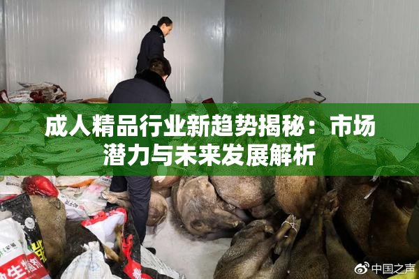 成人精品行业新趋势揭秘：市场潜力与未来发展解析