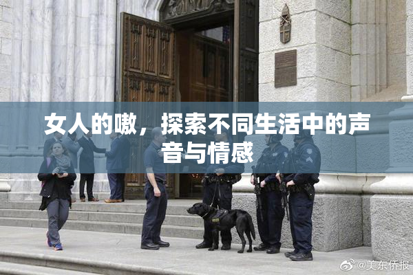 女人的嗷，探索不同生活中的声音与情感
