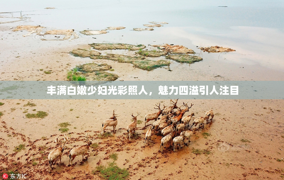 丰满白嫩少妇光彩照人，魅力四溢引人注目