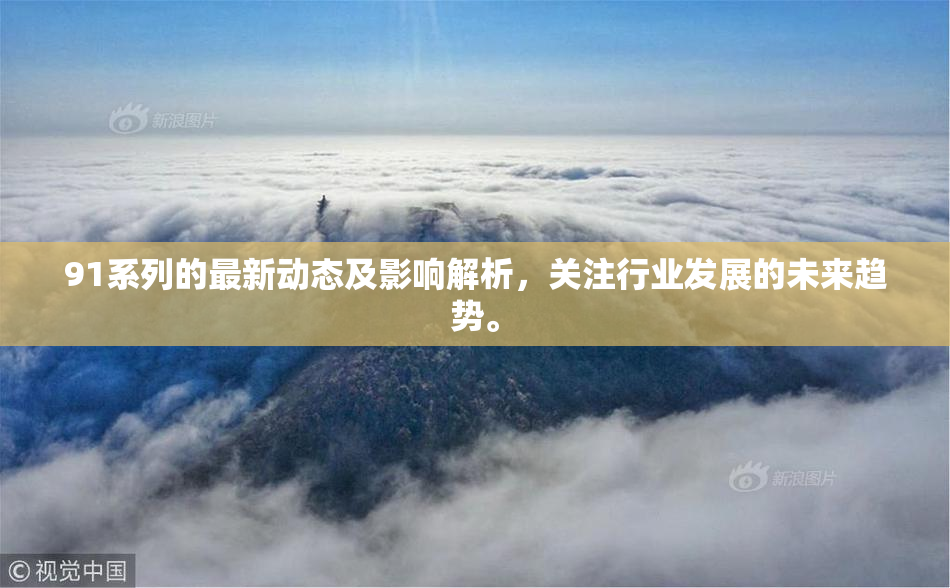 91系列的最新动态及影响解析，关注行业发展的未来趋势。