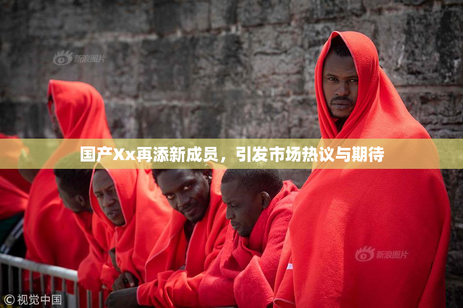国产Xx再添新成员，引发市场热议与期待