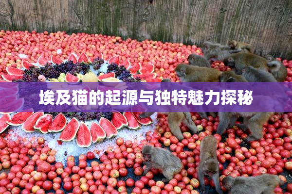 埃及猫的起源与独特魅力探秘