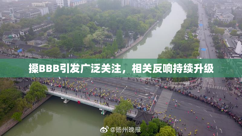 搡BBB引发广泛关注，相关反响持续升级