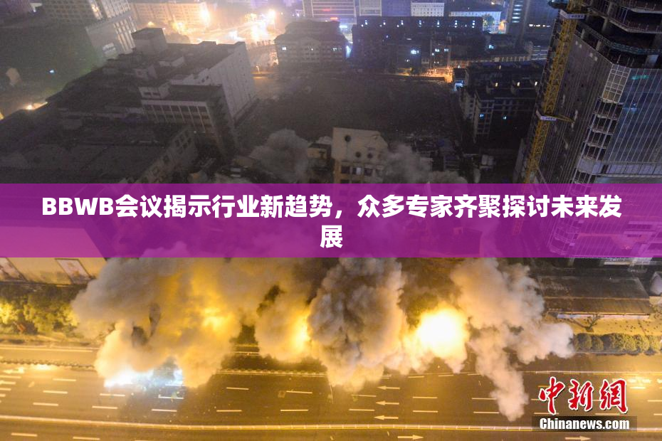 BBWB会议揭示行业新趋势，众多专家齐聚探讨未来发展
