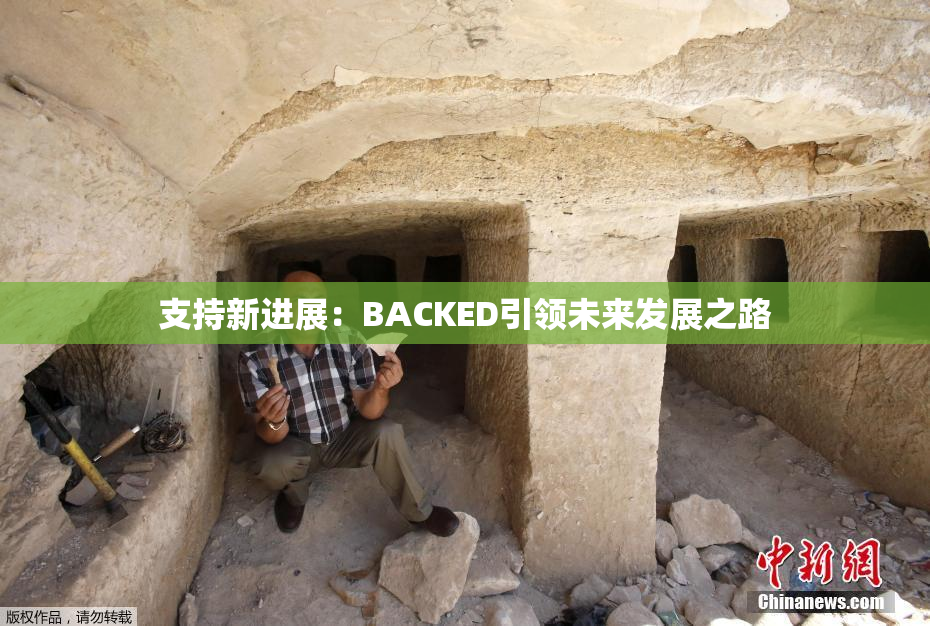 支持新进展：BACKED引领未来发展之路