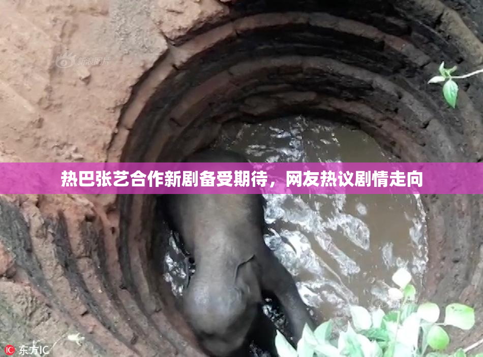热巴张艺合作新剧备受期待，网友热议剧情走向