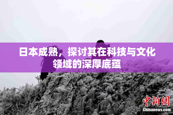 日本成熟，探讨其在科技与文化领域的深厚底蕴