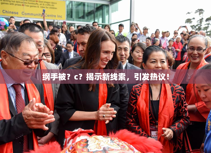 纲手被？c？揭示新线索，引发热议！