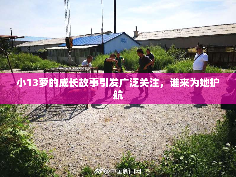 小13萝的成长故事引发广泛关注，谁来为她护航