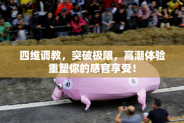 四维调教，突破极限，高潮体验重塑你的感官享受！