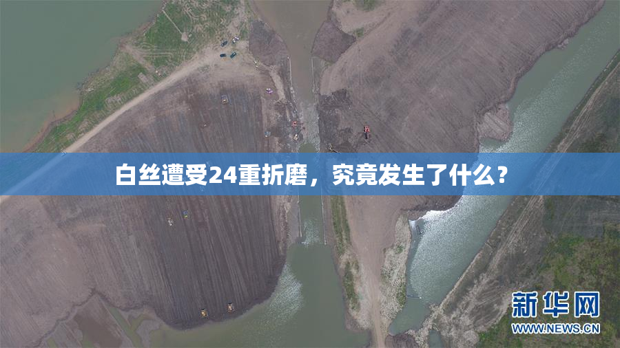 白丝遭受24重折磨，究竟发生了什么？