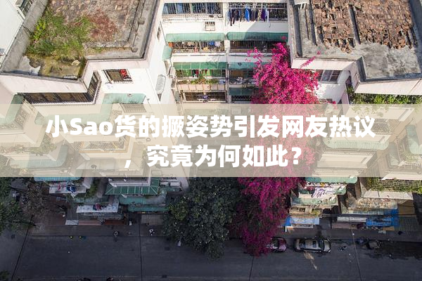 小Sao货的撅姿势引发网友热议，究竟为何如此？