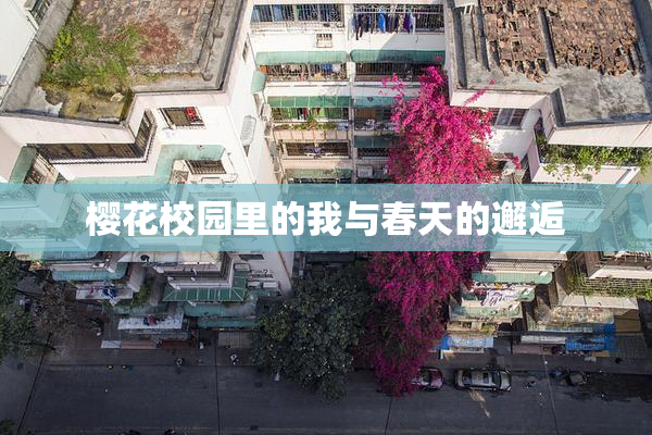 樱花校园里的我与春天的邂逅