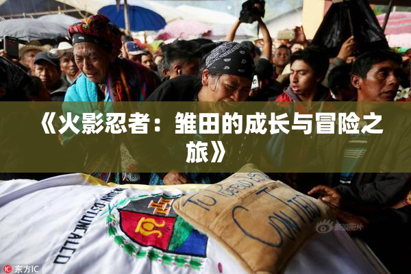 《火影忍者：雏田的成长与冒险之旅》