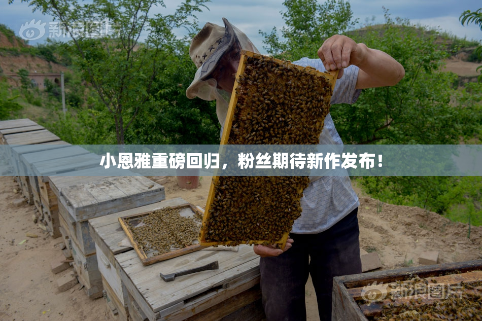 小恩雅重磅回归，粉丝期待新作发布！