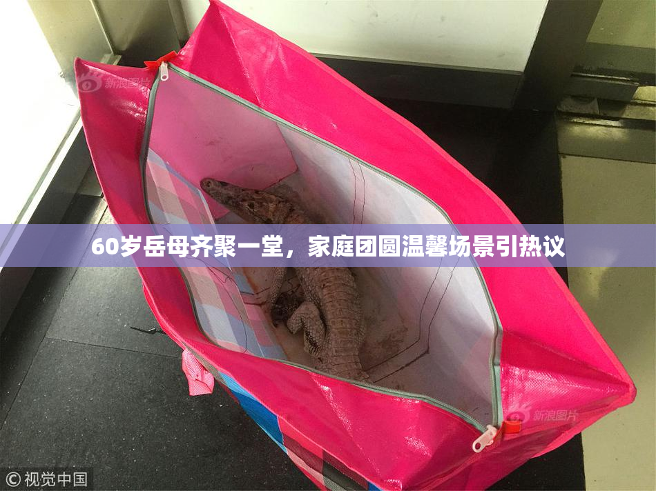 60岁岳母齐聚一堂，家庭团圆温馨场景引热议