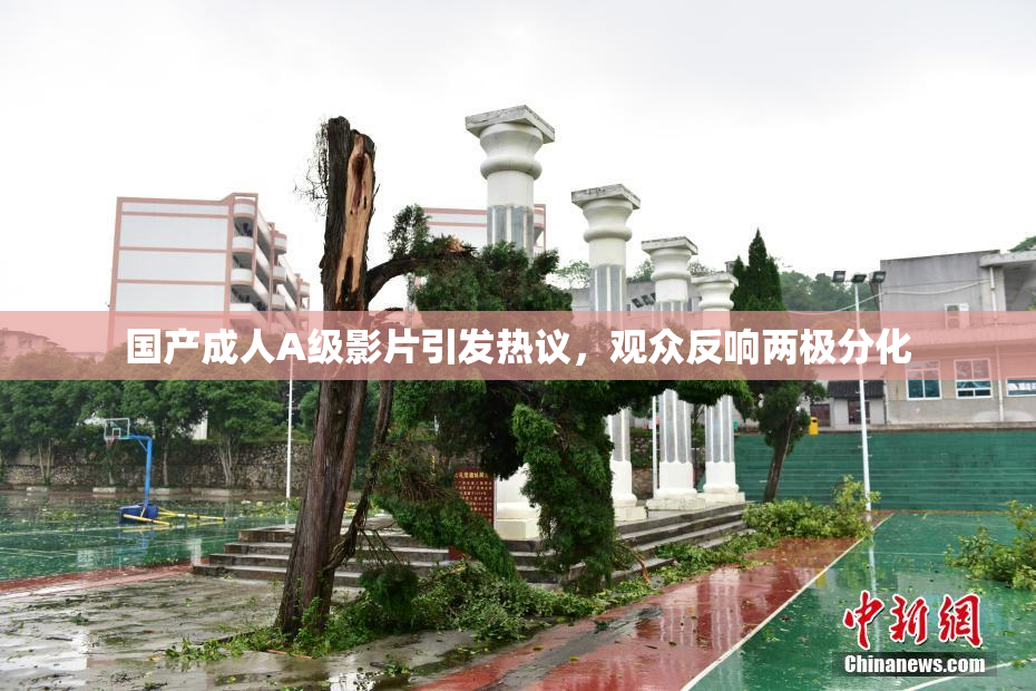 国产成人A级影片引发热议，观众反响两极分化