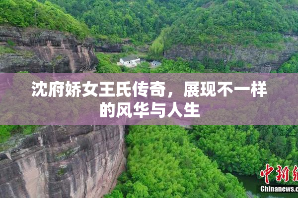 沈府娇女王氏传奇，展现不一样的风华与人生