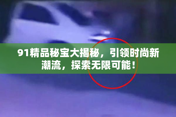 91精品秘宝大揭秘，引领时尚新潮流，探索无限可能！