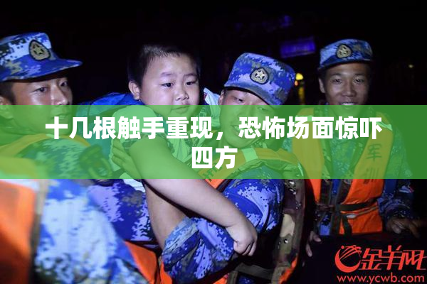 十几根触手重现，恐怖场面惊吓四方